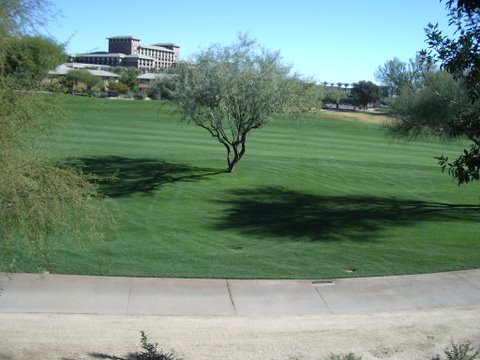 Kierland Greens #2063 photo 5