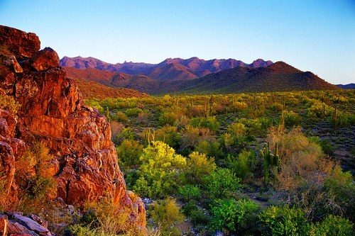 Montana del Sol #112