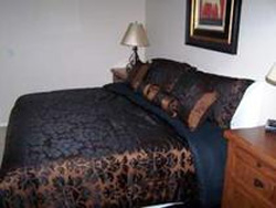 Signature at Scottsdale photo 4
