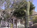Skytop Estates #27 at Troon North photo 5